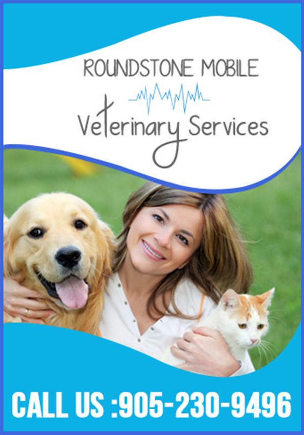 ROUNDSTONE MOBILE VETERINARY SERVICE  BRAMPTON                                                      