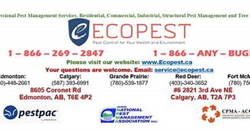 Pest Control Calgary