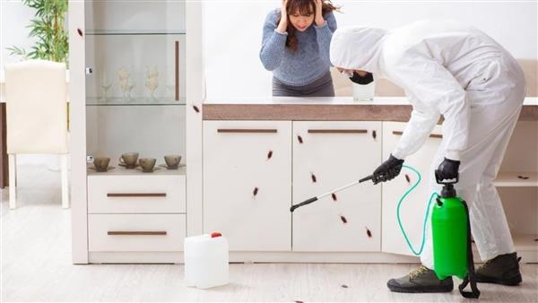 Pestiseed Pest Control